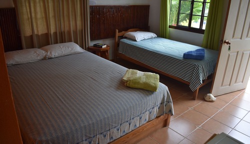 Habitación clásica doble, vistas al jardín