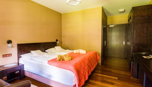 Habitación estándar doble, vistas a la montaña