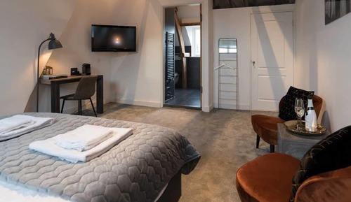 Suite estudio