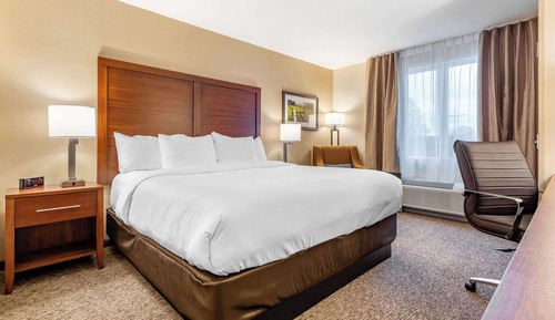 Habitación estándar, 1 cama de matrimonio grande, no fumadores