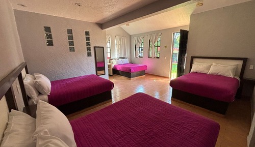 Habitación familiar (Extra)
