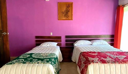 Basic Triple Room