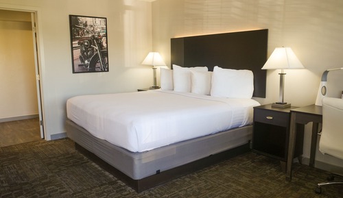 Habitación individual estándar, 1 cama de matrimonio grande