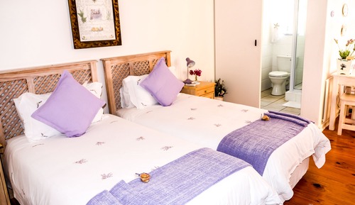 Habitación básica con 2 camas individuales, 1 habitación