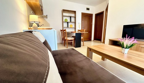 Apartamento clásico, 1 habitación, vistas al parque