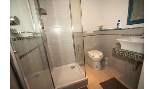 Habitación clásica doble, baño privado (Camera Fuxia)