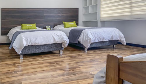 Habitación estándar con 2 camas individuales