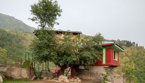 Casa en un árbol