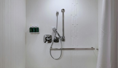 Suite, 1 habitación (Mobility/Hearing Access, Roll-in Shwr)