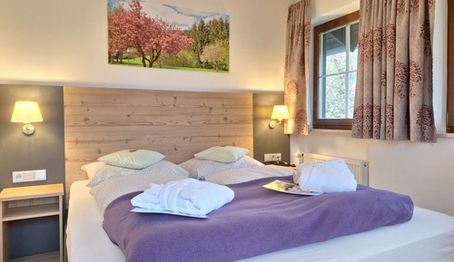 Habitación Confort doble, 1 cama de matrimonio grande, vistas al patio