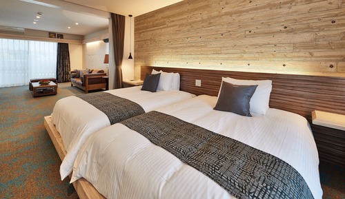 Habitación Deluxe con 2 camas individuales, varias camas