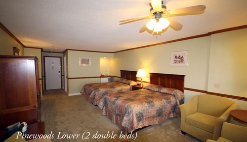 Habitación Deluxe, varias camas (River Front)