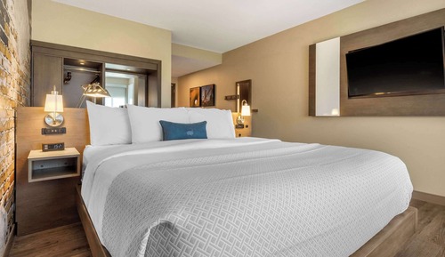 Habitación estándar, 1 cama de matrimonio grande, no fumadores