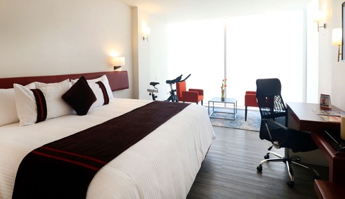 Habitación de lujo, 1 cama de matrimonio grande