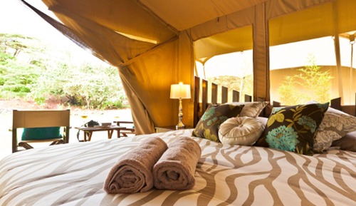 Tienda Deluxe (Safari)