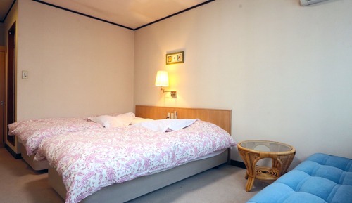Habitación Deluxe con 2 camas individuales