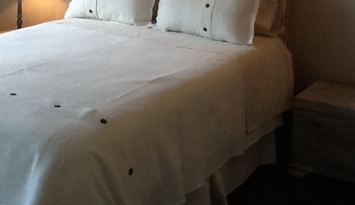Habitación estándar doble, 1 cama de matrimonio