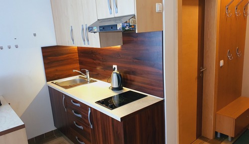 Apartamento básico, 1 habitación