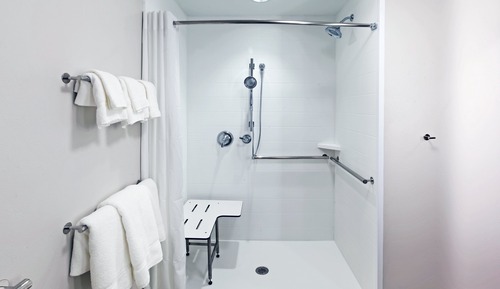 Habitación estándar, 1 cama de matrimonio grande (Roll-In Shower)