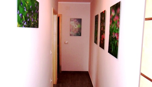 Superior Apartment, Balcony (3 People)