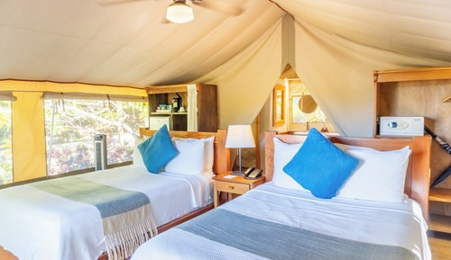  Tent Suite 2 Double Beds with A/C