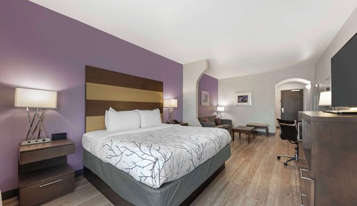 Suite, 1 cama de matrimonio grande, no fumadores (Shower Only;with Sofabed)
