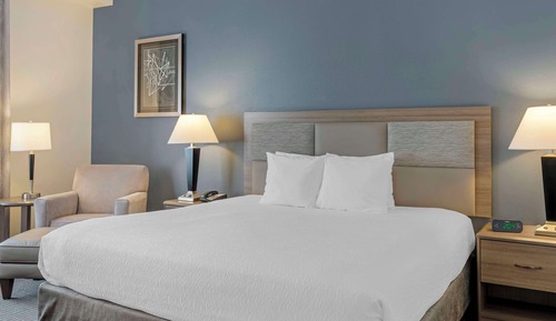 Habitación estándar, 1 cama de matrimonio grande, no fumadores, frigorífico