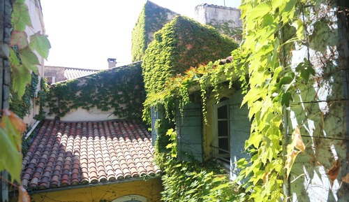 Apartamento Deluxe, en la zona del patio (2nd floor)