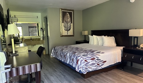 Habitación individual estándar, 1 cama de matrimonio grande