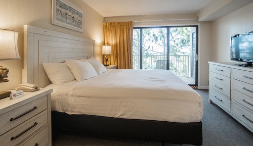 Suite, 1 cama de matrimonio grande con sofá cama