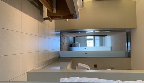Suite, 1 cama de matrimonio grande con sofá cama