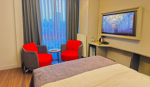 Habitación estándar, 1 cama doble