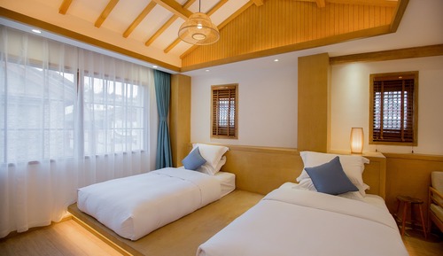 Habitación Deluxe con 2 camas individuales