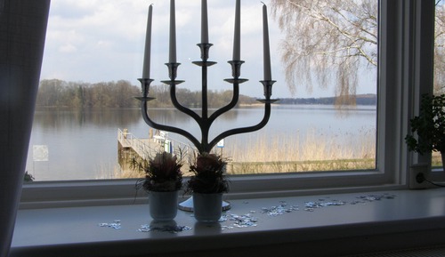 Habitación individual, vistas al lago