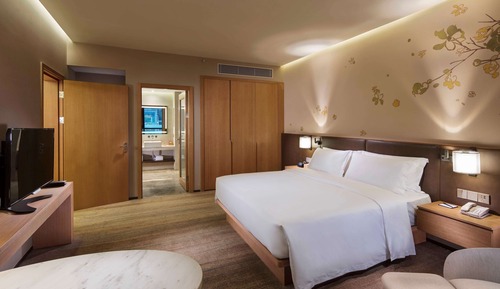 Suite Deluxe, 1 habitación, no fumadores