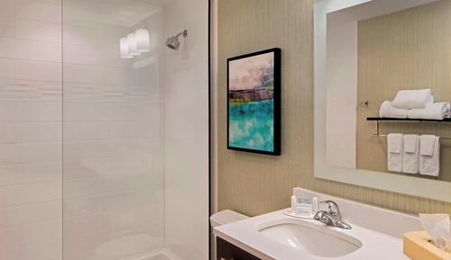 Suite, 1 habitación (Hearing Accessible)