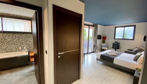 Habitación Confort doble, vistas al lago (balcon, salle de bain et douche)