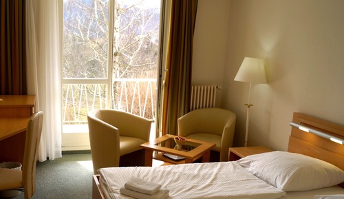 Habitación doble, balcón, vistas al jardín