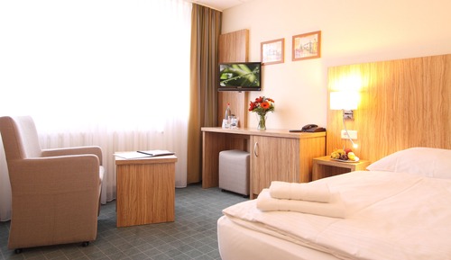 Habitación individual Confort, vistas al jardín
