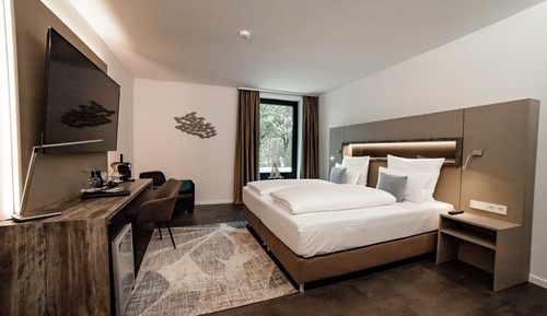Suite superior, 1 habitación, vistas al parque