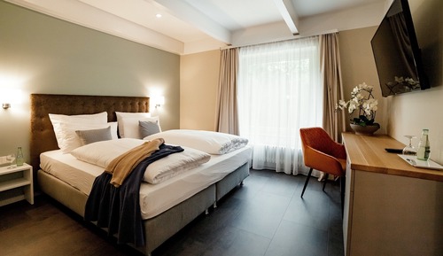 Suite superior, 1 habitación, vistas al lago