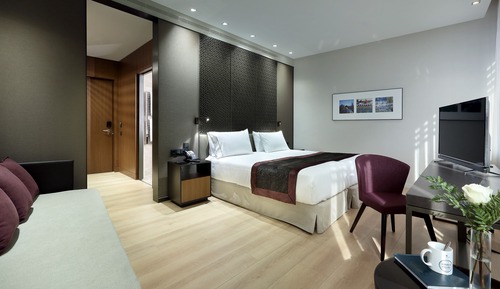 Habitación Deluxe con 1 cama doble o 2 individuales