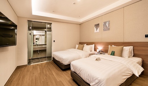 Habitación Deluxe con 2 camas individuales