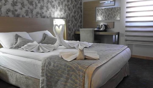 Suite, 1 habitación