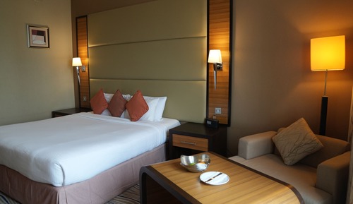 Habitación estándar, 1 cama de matrimonio grande