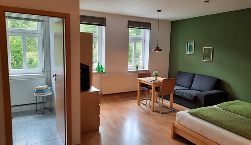 Estudio, 1 cama doble, vistas al parque