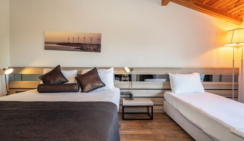 Habitación Deluxe doble, vistas al jardín
