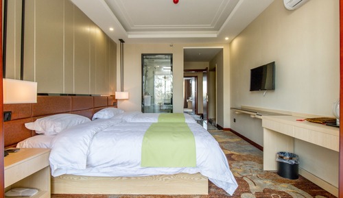 Habitación Deluxe con 2 camas individuales