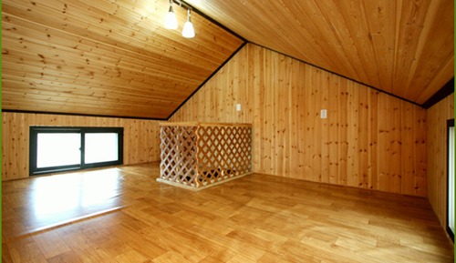 Dúplex