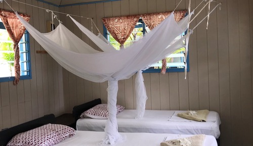 Habitación básica con 1 cama doble o 2 individuales